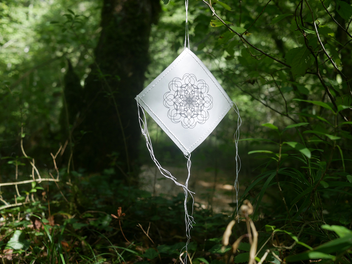 Ornamental Collection