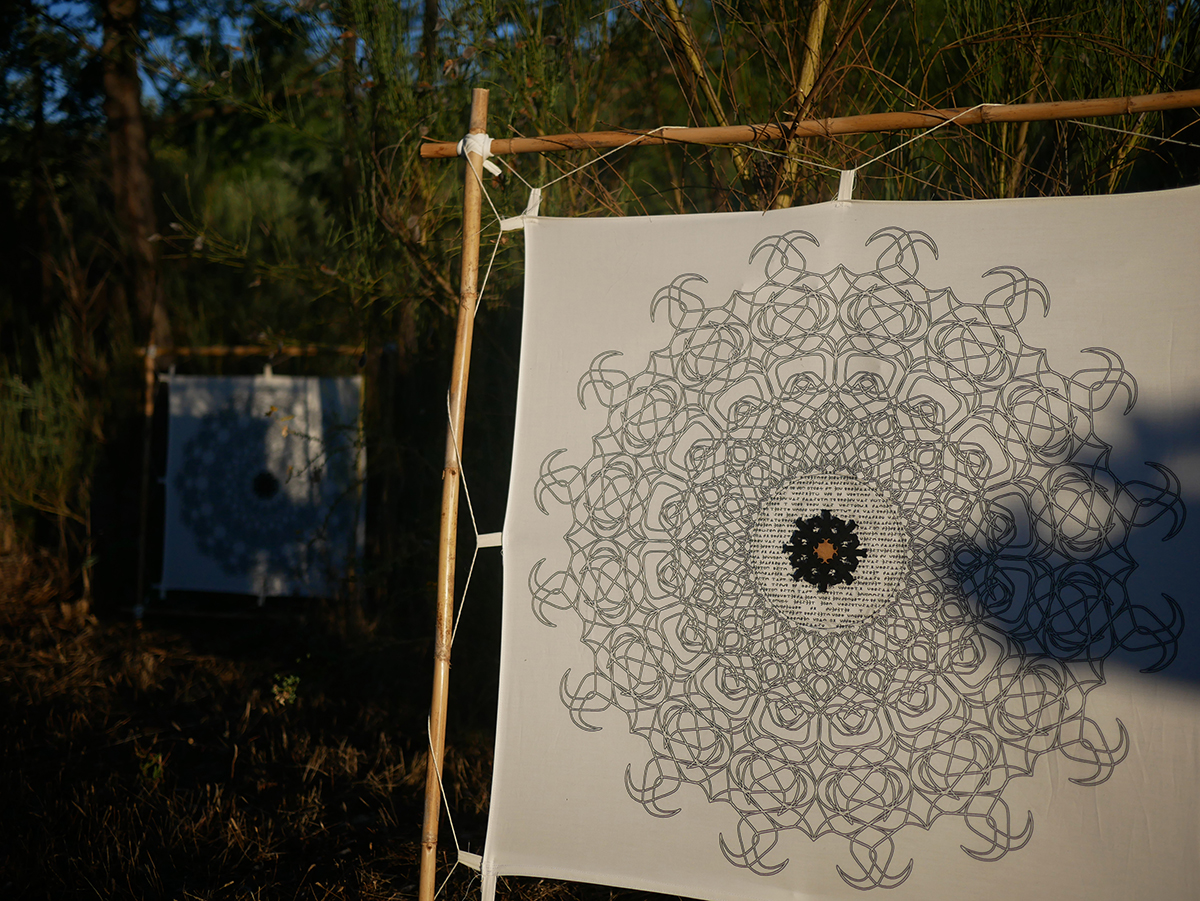 Ornamental Collection